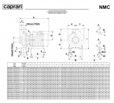 Поверхностные одноступенчатые консольно-моноблочные насосы Caprari NMC 100 2P