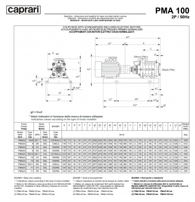 Горизонтальные многоступенчатые насосы высокого давления Caprari PMA 100 1450