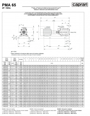 Горизонтальные многоступенчатые насосы высокого давления Caprari PMA 65 1450