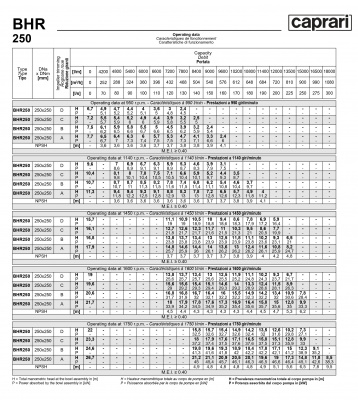 Горизонтальные одноступенчатые насосы Caprari BHR 250