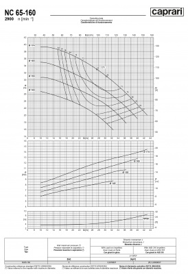 Одноступенчатые горизонтальные центробежные насосы Caprari NC 65-160 2900