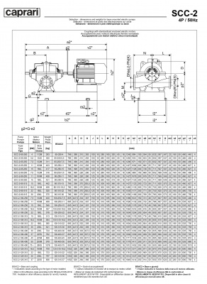 Горизонтальные насосы двустороннего входа Caprari SCC-2-125-315 1450