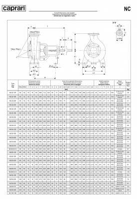 Одноступенчатые горизонтальные центробежные насосы Caprari NC 40-200 2900