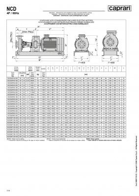 Одноступенчатые горизонтальные центробежные насосы Caprari NCDS 4P150-400 1750