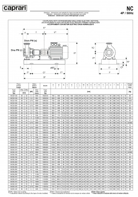 Одноступенчатые горизонтальные центробежные насосы Caprari NC 32-160 2900