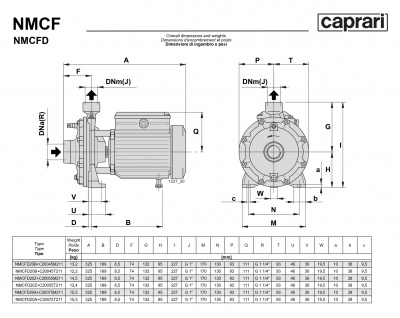 Поверхностные одноступенчатые консольно-моноблочные насосы Caprari NMCF 20