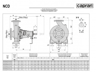 Одноступенчатые горизонтальные центробежные насосы Caprari NCDS 4P125-400 1750