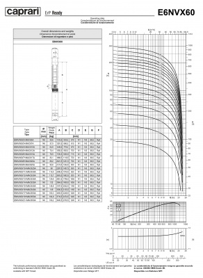 Скважинные насосы Caprari E6NVX60 из нержавеющей стали