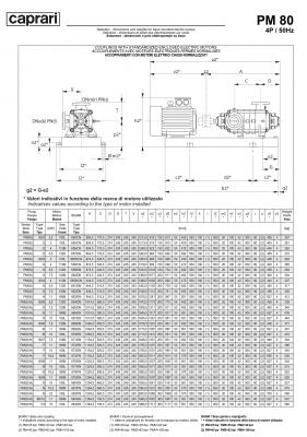 Горизонтальные многоступенчатые насосы высокого давления Caprari PM 80 1450