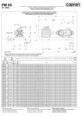 Горизонтальные многоступенчатые насосы высокого давления Caprari PM 65 3500