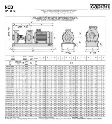 Одноступенчатые горизонтальные центробежные насосы Caprari NCDS 4P40-250 1750