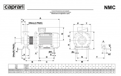 Поверхностные одноступенчатые консольно-моноблочные насосы Caprari NMC 100 2P