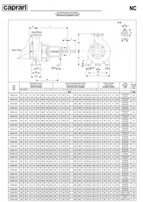 Одноступенчатые горизонтальные центробежные насосы Caprari NC 32-200 1450