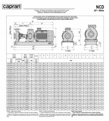 Одноступенчатые горизонтальные центробежные насосы Caprari NCD 2P50-160 2900