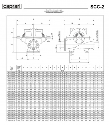 Горизонтальные насосы двустороннего входа Caprari SCC-2-250-600 1450