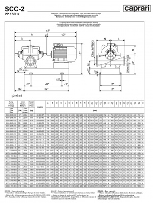 Горизонтальные насосы двустороннего входа Caprari SCC-2-80-315 1450