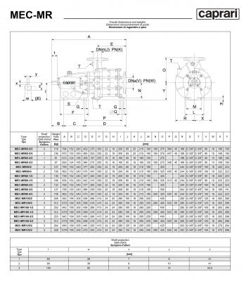 Горизонтальные многоступенчатые насосы Caprari MEC-MR 1450