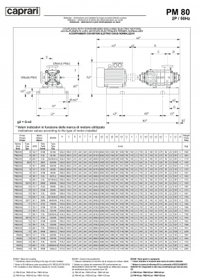 Горизонтальные многоступенчатые насосы высокого давления Caprari PM 80 1450