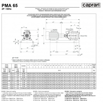 Горизонтальные многоступенчатые насосы высокого давления Caprari PMA 65 3500