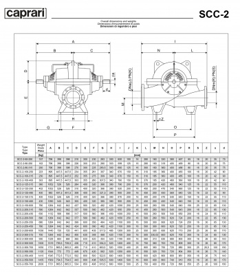 Горизонтальные насосы двустороннего входа Caprari SCC-2-100-250 1450