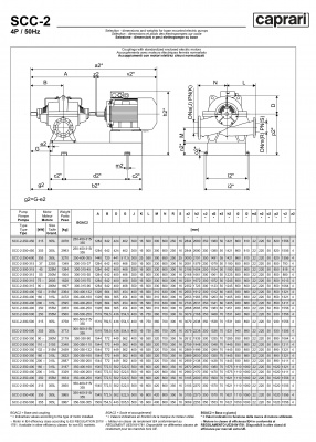 Горизонтальные насосы двустороннего входа Caprari SCC-2-350-350 1450