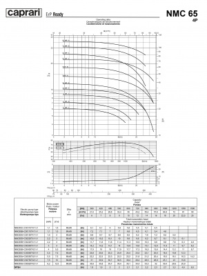 Поверхностные одноступенчатые консольно-моноблочные насосы Caprari NMC 65 4P