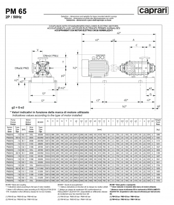 Горизонтальные многоступенчатые насосы высокого давления Caprari PM 65 2000