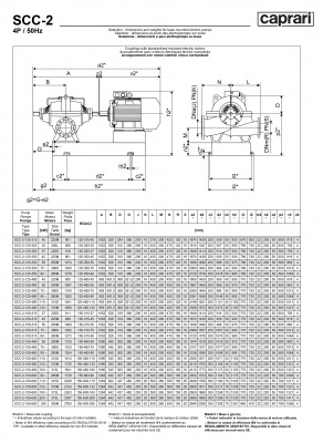 Горизонтальные насосы двустороннего входа Caprari SCC-2-125-315 2900