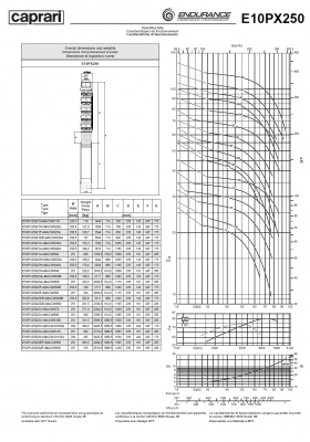 Скважинные насосы Caprari E10PX250 из нержавеющей стали