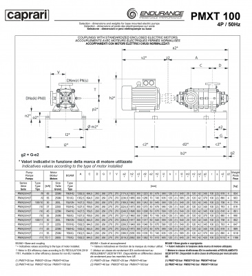 Горизонтальные секционные насосы высокого давления Caprari PMXT 100 1450 из нержавеющей стали