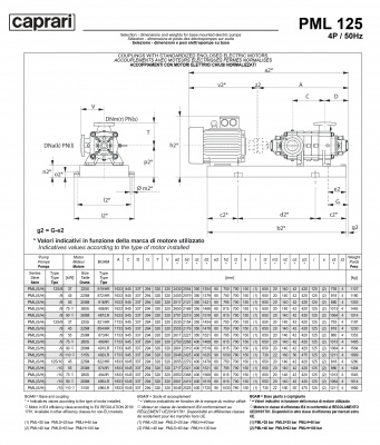 Горизонтальные многоступенчатые насосы высокого давления Caprari PML 125 2000