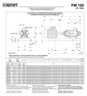 Горизонтальные многоступенчатые насосы высокого давления Caprari PM 100 2200