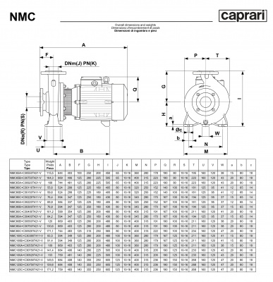 Поверхностные одноступенчатые консольно-моноблочные насосы Caprari NMC 65 4P