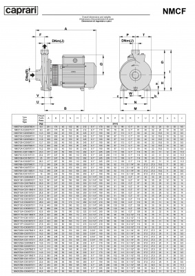 Поверхностные одноступенчатые консольно-моноблочные насосы Caprari NMCF 3