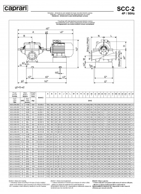 Горизонтальные насосы двустороннего входа Caprari SCC-2-100-250 2900