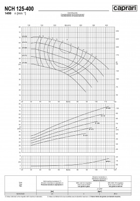 Одноступенчатые горизонтальные центробежные насосы Caprari NCH 125-400 1450