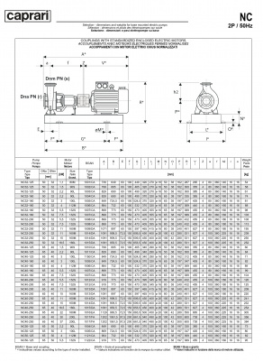 Одноступенчатые горизонтальные центробежные насосы Caprari NC 40-250 1450