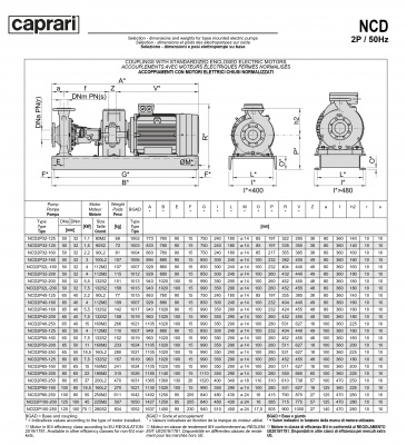 Одноступенчатые горизонтальные центробежные насосы Caprari NCD 2P40-250 2900