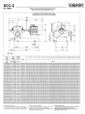 Горизонтальные насосы двустороннего входа Caprari SCC-2-100-315 2900