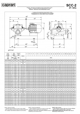 Горизонтальные насосы двустороннего входа Caprari SCC-2-200-500 1450