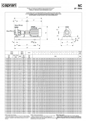 Одноступенчатые горизонтальные центробежные насосы Caprari NC 80-200 2900