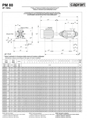 Горизонтальные многоступенчатые насосы высокого давления Caprari PM 80 1750