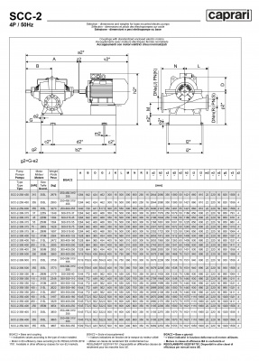 Горизонтальные насосы двустороннего входа Caprari SCC-2-300-315 1450