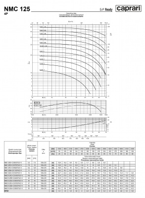 Поверхностные одноступенчатые консольно-моноблочные насосы Caprari NMC 125 4P
