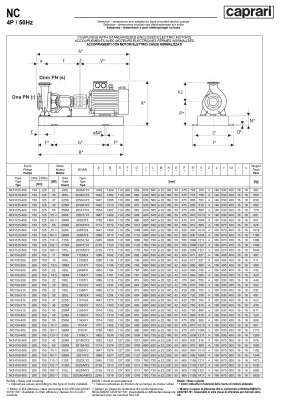 Одноступенчатые горизонтальные центробежные насосы Caprari NCH 125-400 950