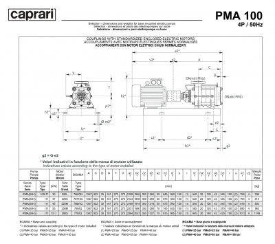 Горизонтальные многоступенчатые насосы высокого давления Caprari PMA 100 2900