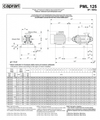 Горизонтальные многоступенчатые насосы высокого давления Caprari PML 125 2900