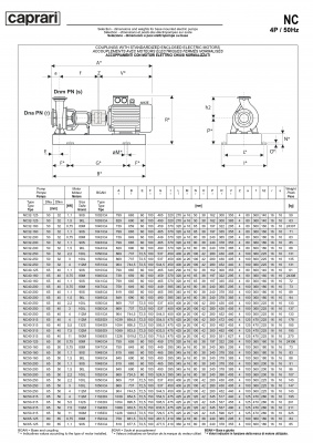 Одноступенчатые горизонтальные центробежные насосы Caprari NC 32-200 1450