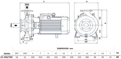 Центробежный насос Purity PSTG-R5 32-250/75D