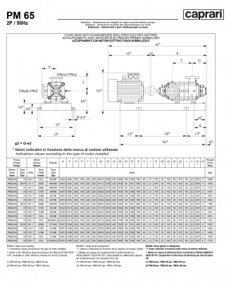 Горизонтальные многоступенчатые насосы высокого давления Caprari PM 65 1750